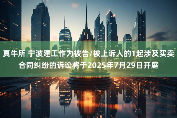 真牛所 宁波建工作为被告/被上诉人的1起涉及买卖合同纠纷的诉讼将于2025年7月29日开庭